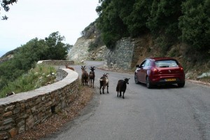 Les routes Corses