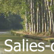Canal du midi