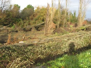 Tempete aux Senioriales