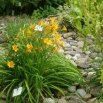 Sortie jardin