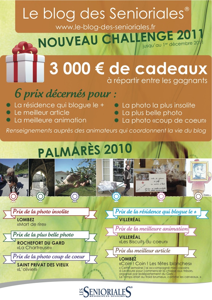 LE CHALLENGE DES BLOGUEUSES 2011 : 