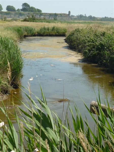Randonnée à Brouage