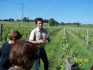 Au milieu de ses vignes