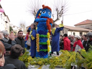 ROQUEBRUNmimosa2014 034