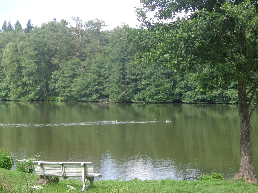 Lieux de rencontres dans loise