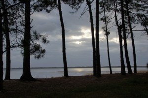 magnifique vue du lac de biscarrosse