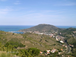 les vignes de Banyuls