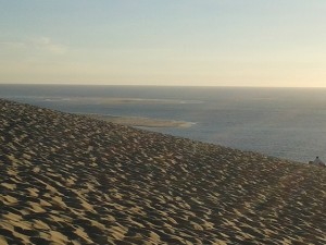 Le paysage magnifique du sommet de la dune du Pilat