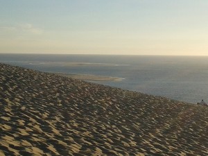 Le paysage magnifique du sommet de la dune du Pilat