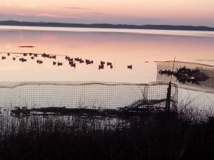 Nous visitons la tonne du chasseur au coucher du soleil