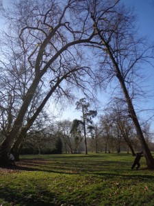 insolite Rambouillet