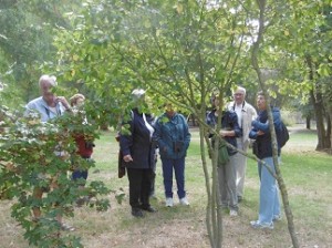 Qui se cachent dans le parc ?