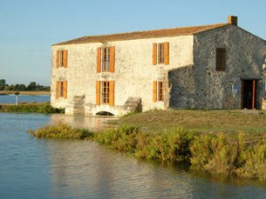 Le moulin à marée haute