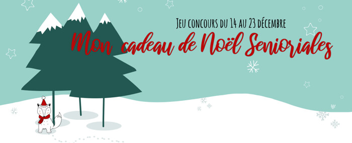 mon cadeau de noel senioriales