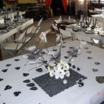 SOIREE MAGIE EN NOIR ET BLANC…