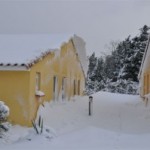 Les Sénioriales de Rochefort du Gard sous la neige ou la saga des enclavés de l’hiver Provençal