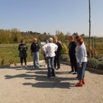 Les boules au féminin