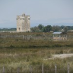 CROISIERE EN CAMARGUE D’AIGUES MORTES A LA MANADE