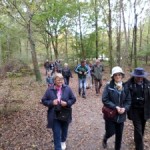 Visite dans le parc de Chambord