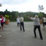 Initiation au Tai Chi / Qi Gong