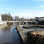 Immersion au cœur de la sologne