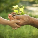 Transmettre votre patrimoine à vos proches