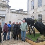 HISTOIRE NATURELLE………….LE MUSEE à LA ROCHELLE