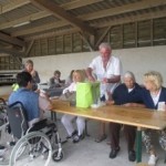 CES DROLES D’ANES, LES BAUDETS DU POITOU