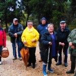 Foire aux girolles et aux cèpes