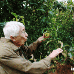 Découverte des beautés du Var par les résidents de Grasse et leurs amis de La Celle