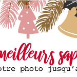 Élection des meilleurs sapins de Noël