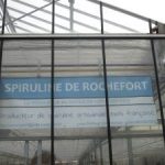 LA SPIRULINE A ROCHEFORT