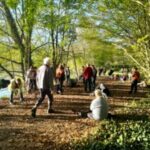 BALADE DECOUVERTE de la Biodiversité à Villeréal